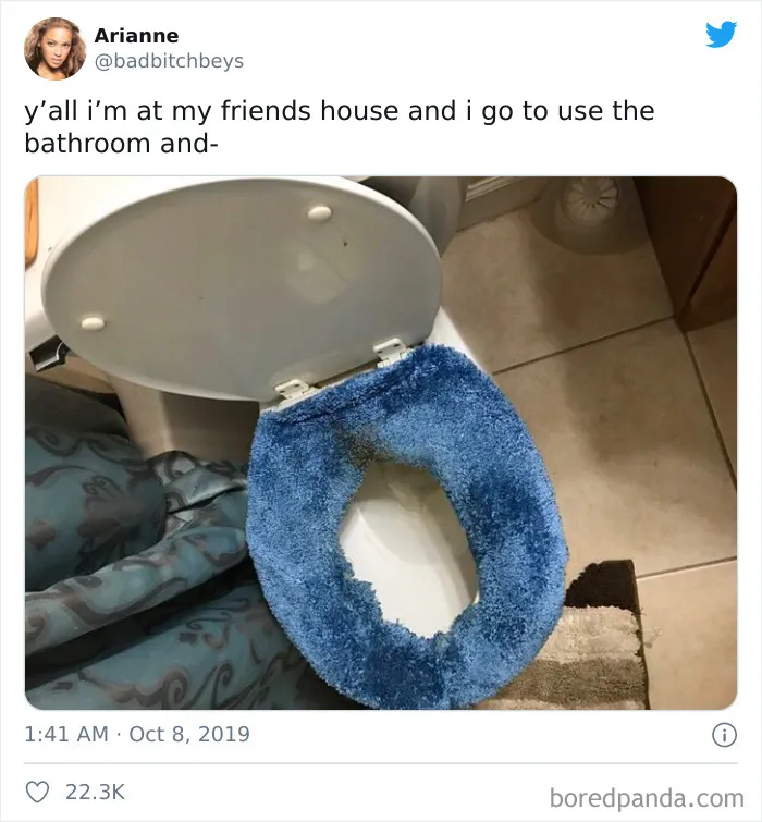 This Toilet Seat Cover