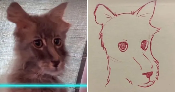 17 Funny Illustrations Of Cats And Dogs After They Were Captured With The Time Warp Scan Filter, Drawn By An Artist On TikTok