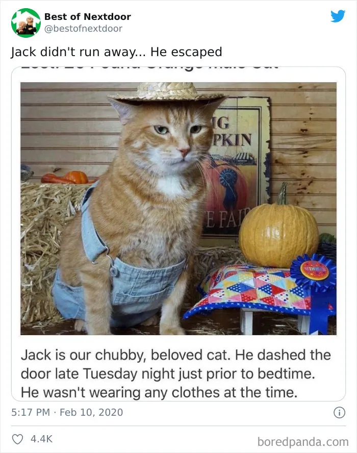 30 Of The Best And Worst Stories About Having Unusual Neighbors By 'Best Of Nextdoor'