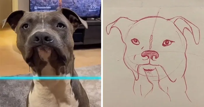 17 Funny Illustrations Of Cats And Dogs After They Were Captured With The Time Warp Scan Filter, Drawn By An Artist On TikTok