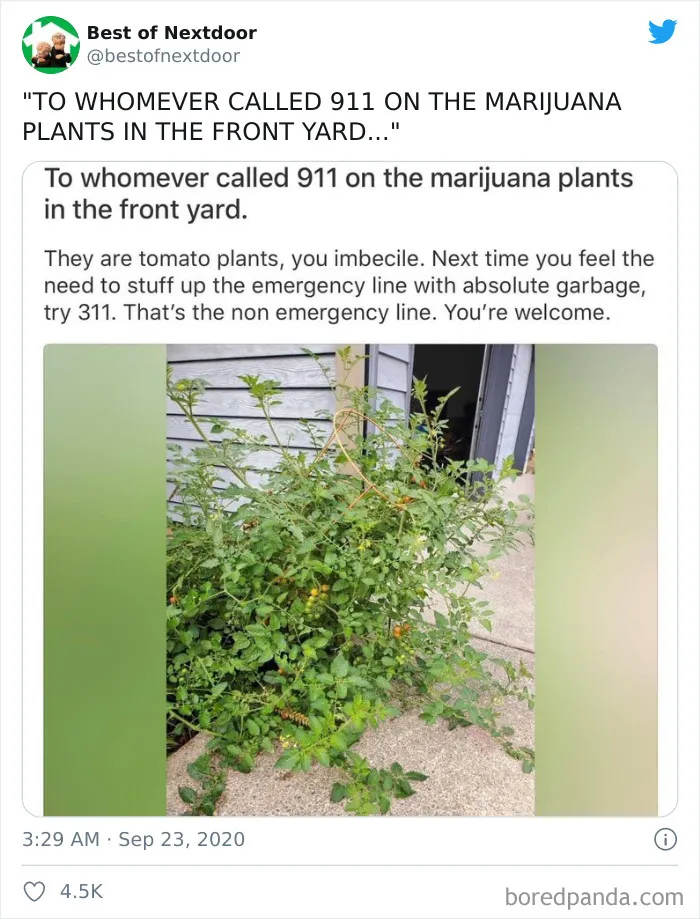 30 Of The Best And Worst Stories About Having Unusual Neighbors By 'Best Of Nextdoor'