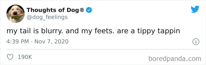 30 Of The Funniest Dog Thoughts That Dog Owners Understand Too Well (New Pics)