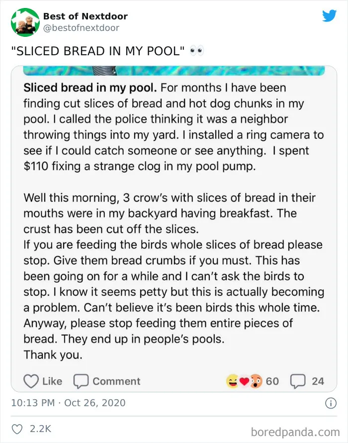 30 Of The Best And Worst Stories About Having Unusual Neighbors By 'Best Of Nextdoor'
