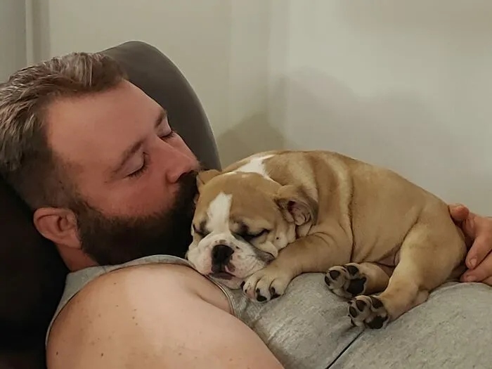 30 Of The Most Wholesome Responses To The 'Didn't Want A Dog' Challenge