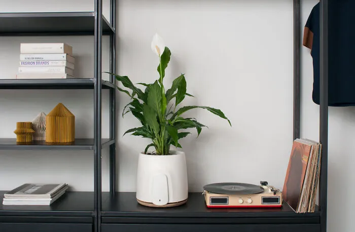Natede Smart Air Purifier