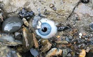 50 Of The Most WTF Images From The 'WTF' Online Group