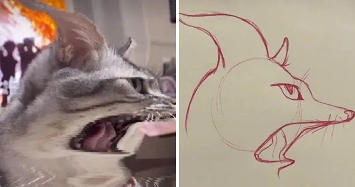 17 Funny Illustrations Of Cats And Dogs After They Were Captured With The Time Warp Scan Filter, Drawn By An Artist On TikTok