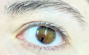 50 Of The Most WTF Images From The 'WTF' Online Group