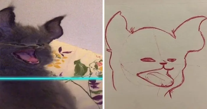 17 Funny Illustrations Of Cats And Dogs After They Were Captured With The Time Warp Scan Filter, Drawn By An Artist On TikTok