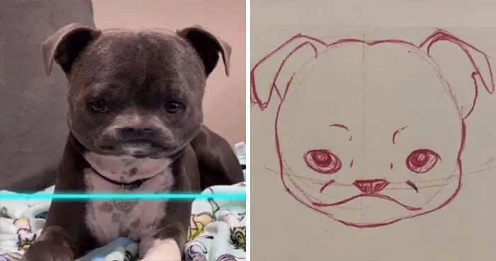 17 Funny Illustrations Of Cats And Dogs After They Were Captured With The Time Warp Scan Filter, Drawn By An Artist On TikTok
