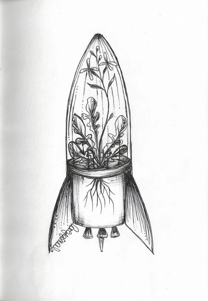 Day 16 - Rocket