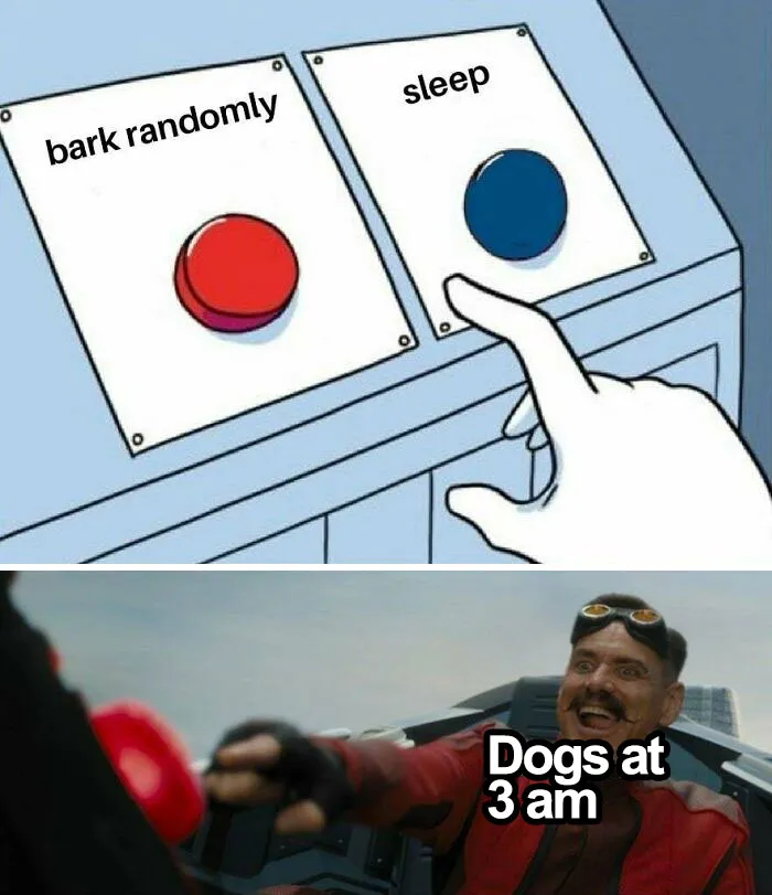 Person choosing between bark randomly and sleep buttons, illustrating funny dog memes about dogs at 3 am behavior.