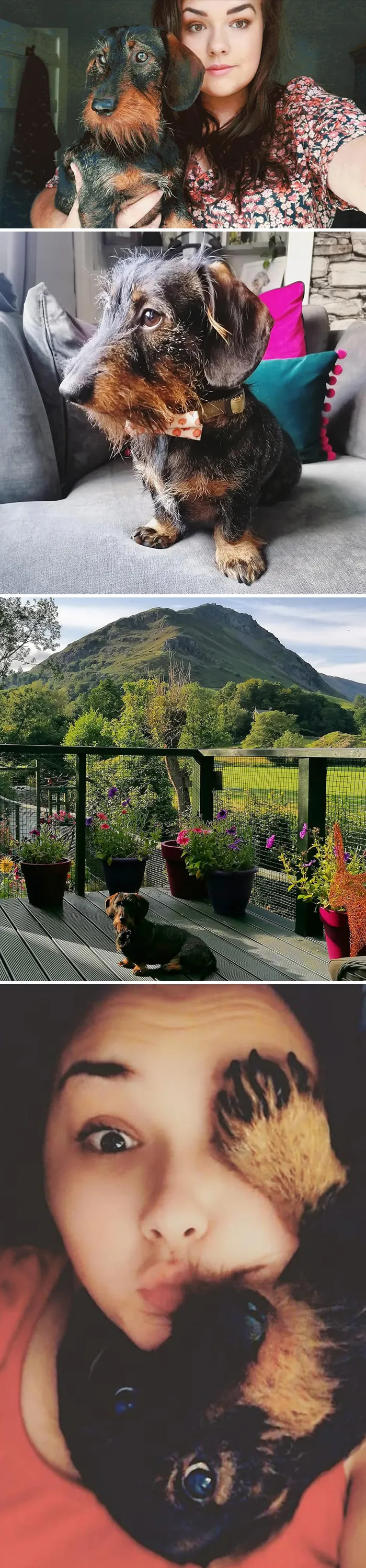 30 Of The Most Wholesome Responses To The 'Didn't Want A Dog' Challenge