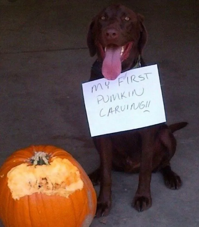 La primera vez que tallo una calabaza