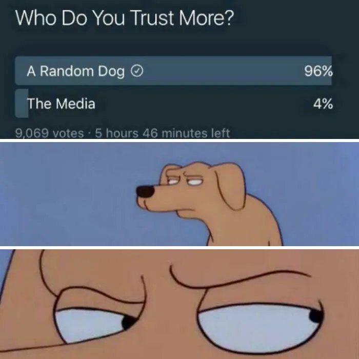 Poll results showing 96% trust a random dog over media, paired with a skeptical dog meme reaction, funny dog memes concept.