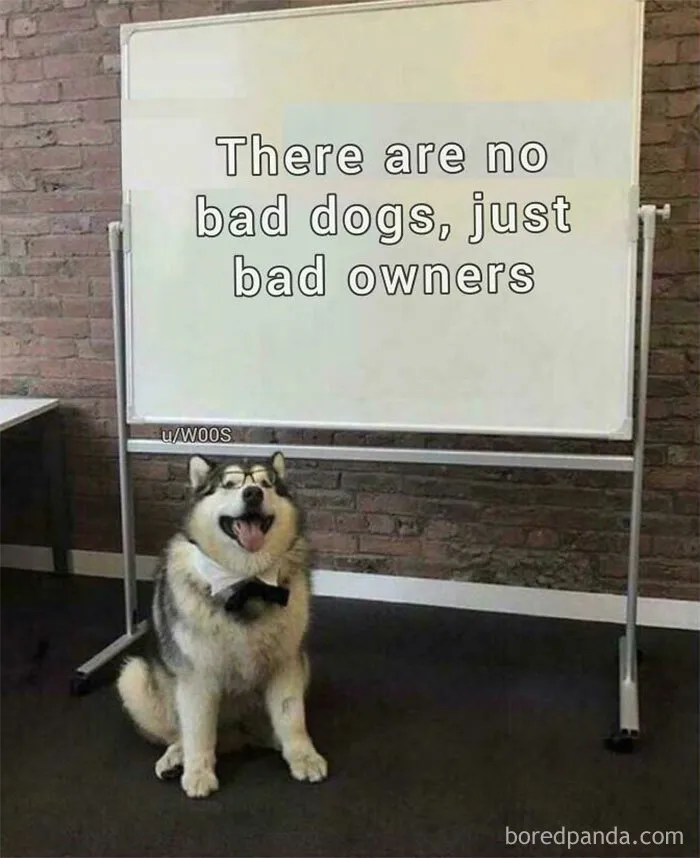 Who’s Really to Blame?