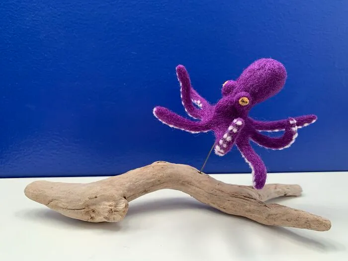 Octopus On Driftwood