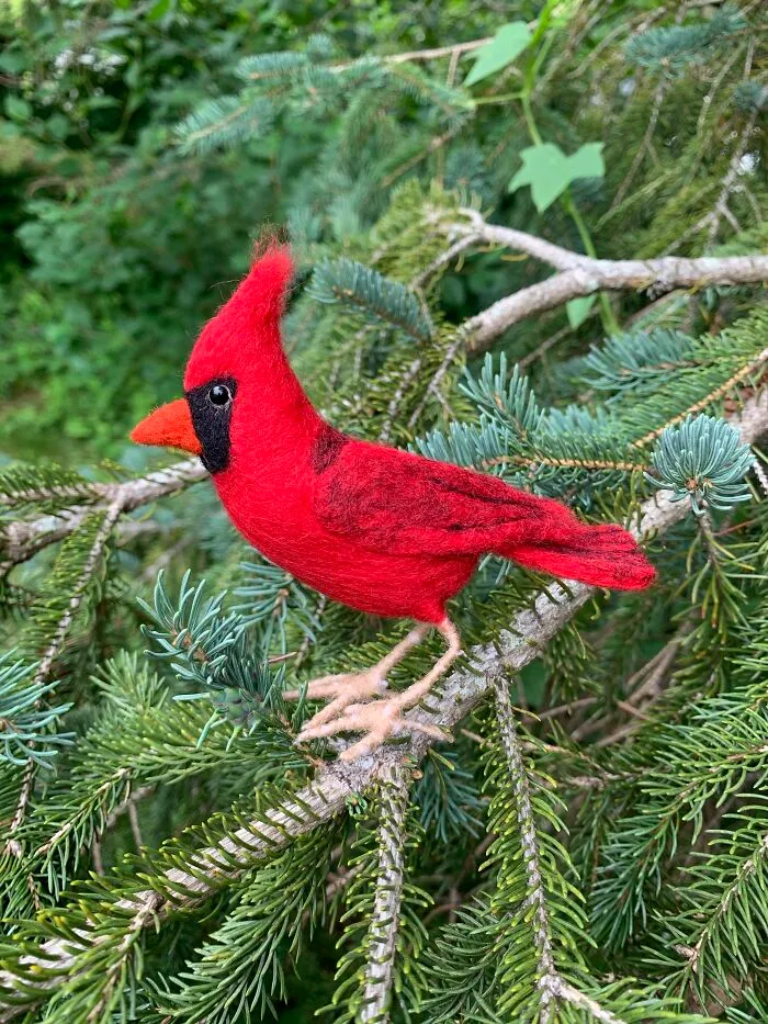 Cardinal