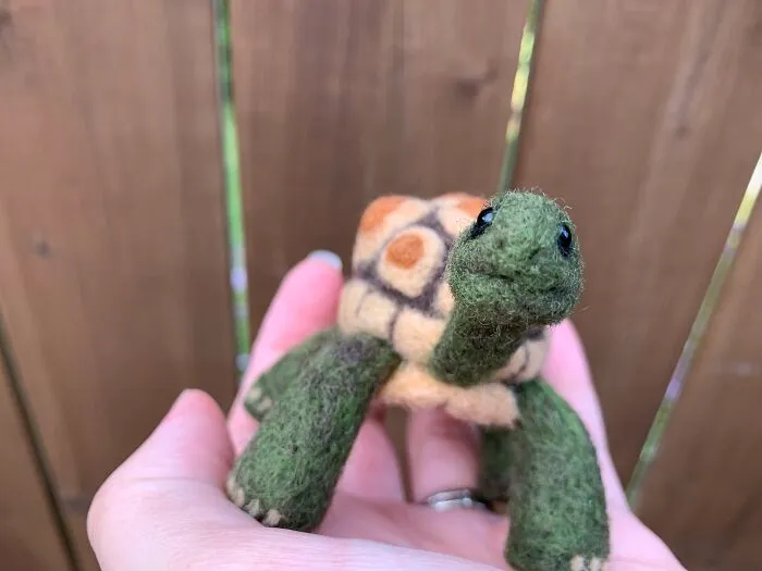 Cheeky Tortoise Smile