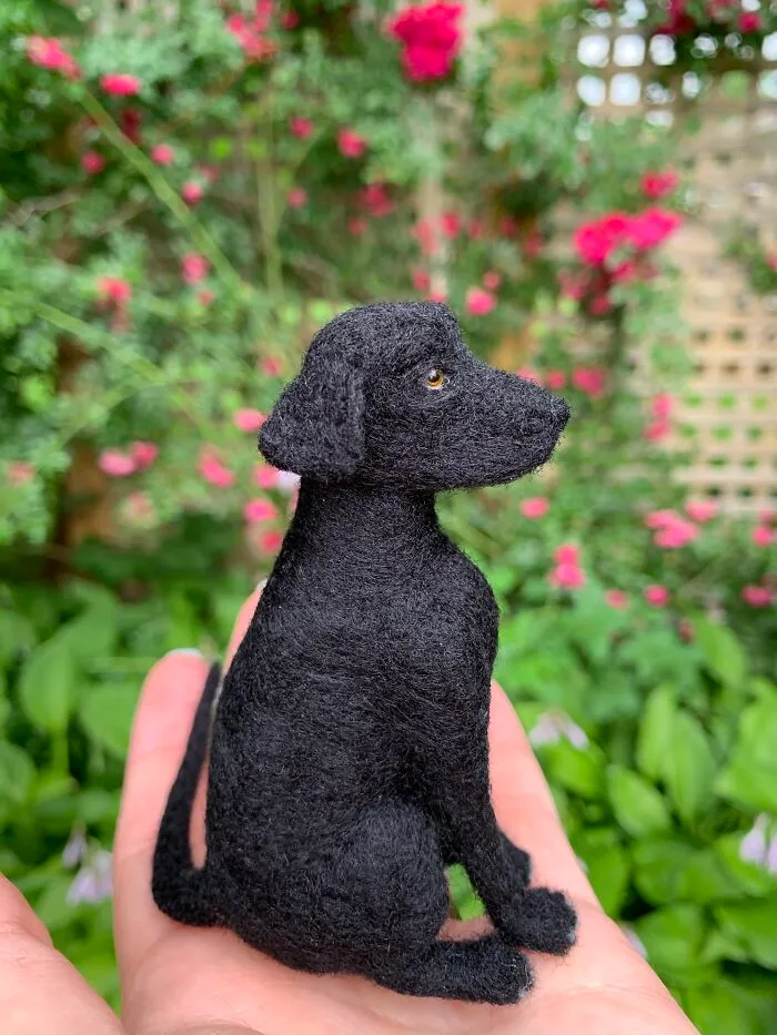 Black Lab