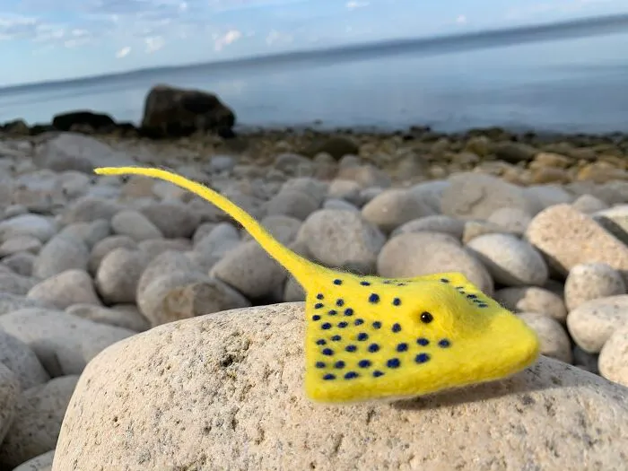 Sting Ray