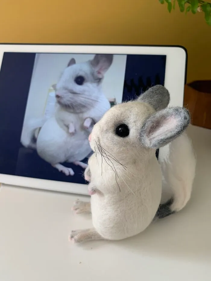 Chinchilla And It's Model