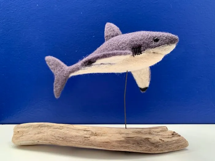 Great White On Driftwood