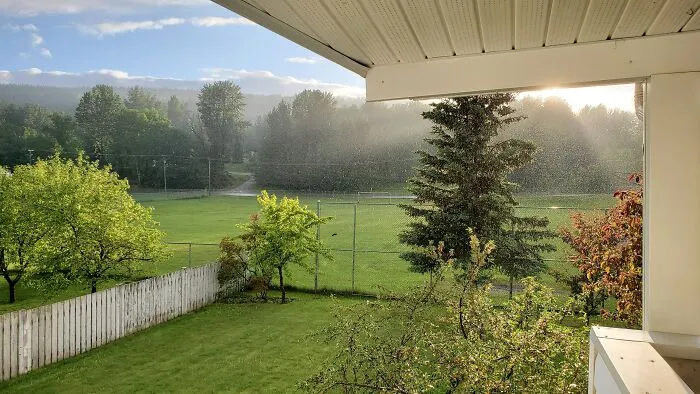 Sunshine Through The Rain - 2020