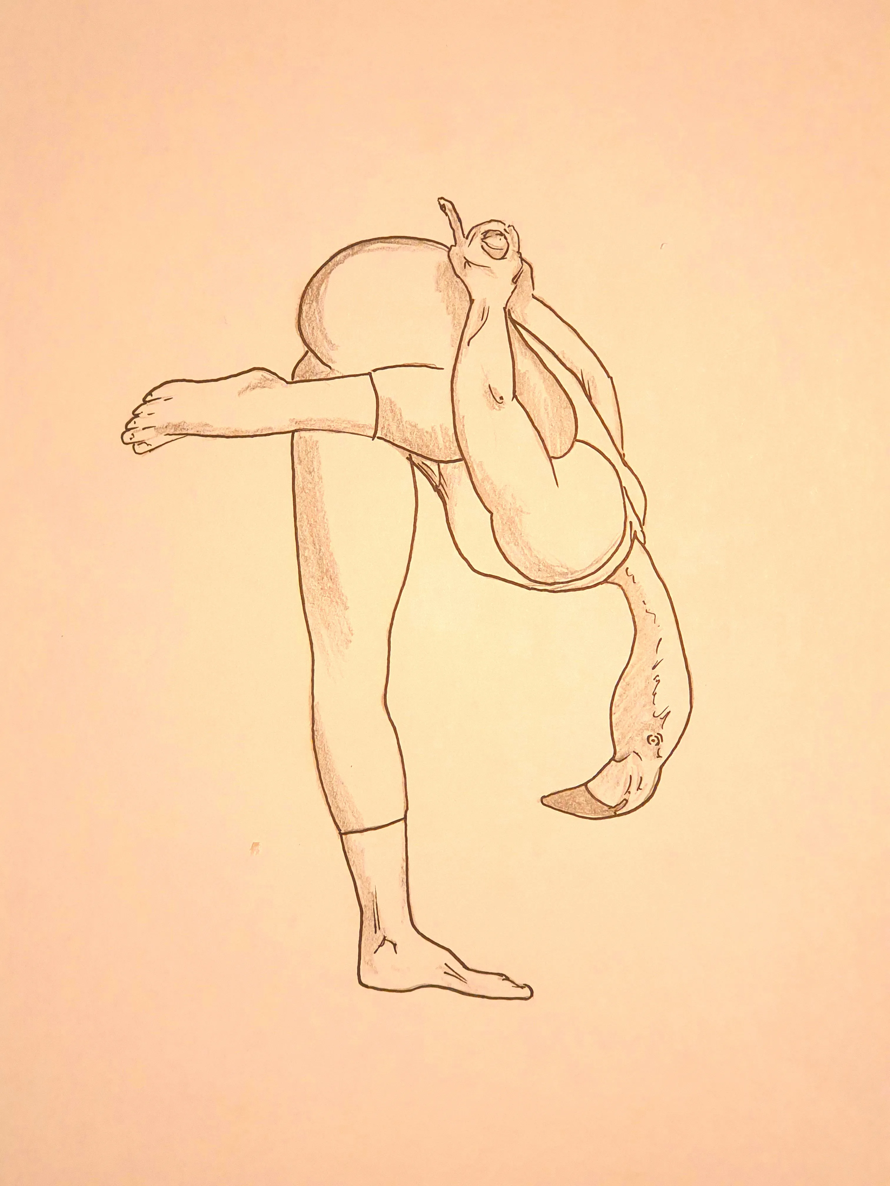 Yoga Animals