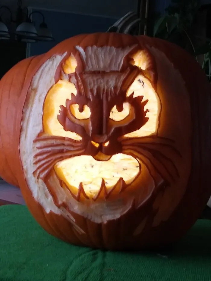 The Cat Is Watching