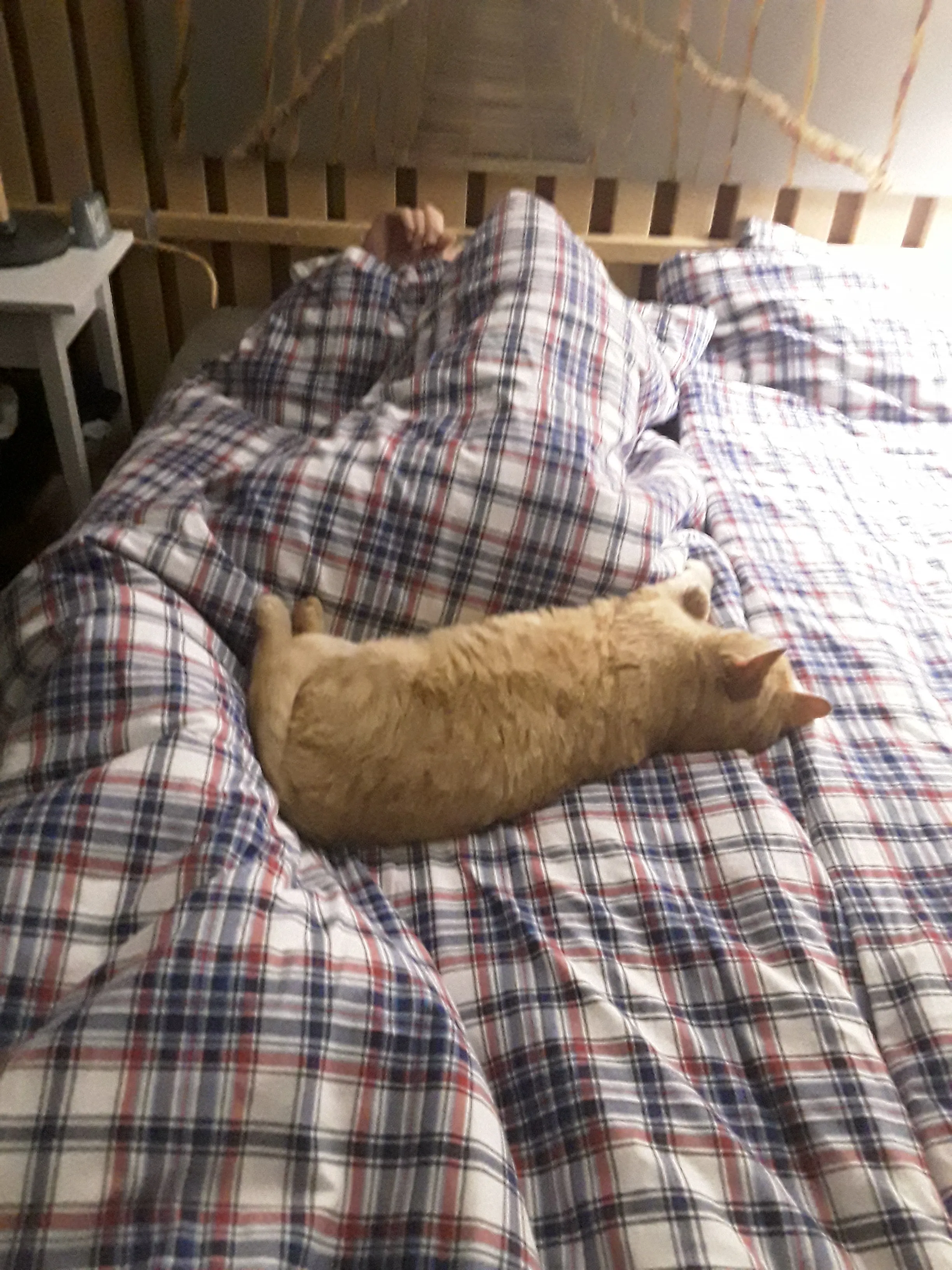 Pushing My Man Off The Bed