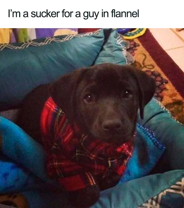 Flannel Fashionista Alert