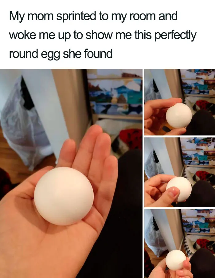 Really Wholesome Mom
