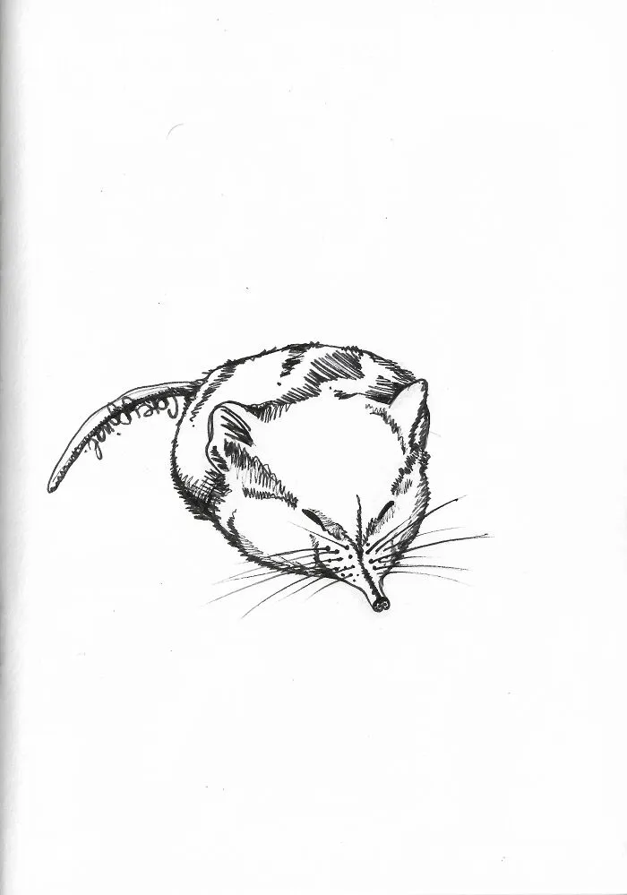 Day 21 - Sleep