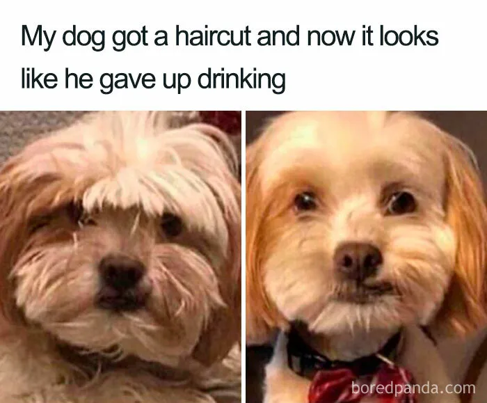 New Look, Who Dis?