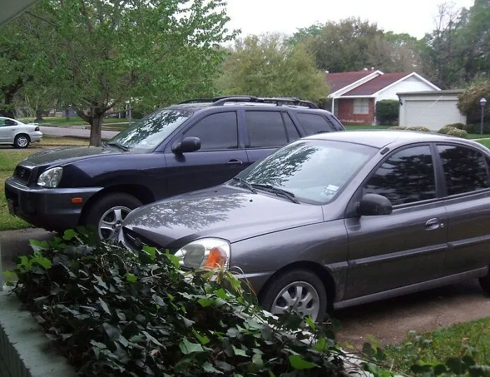 45 Times People Did Something So Dumb, It Had To Be Shared Online