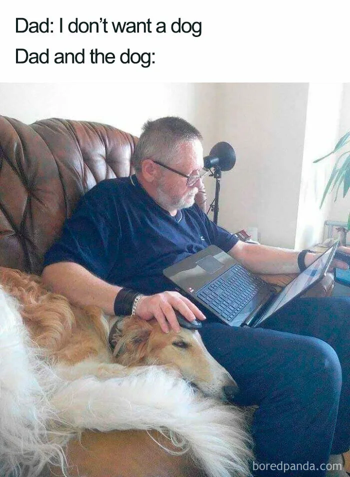 Man relaxing on couch with laptop, petting his large dog lying beside him, capturing funny dog memes moment.