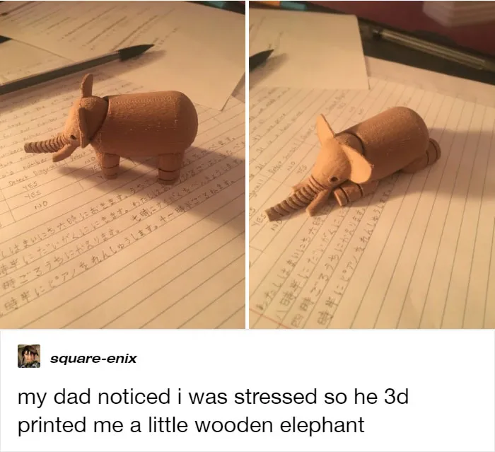 Wholesome Dad