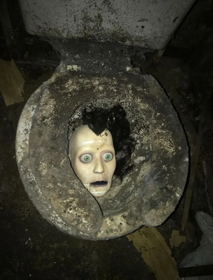 Compré una casa abandonada para renovarla y encontré esto en el cuarto de baño