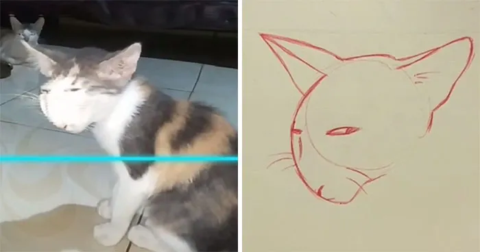 17 Funny Illustrations Of Cats And Dogs After They Were Captured With The Time Warp Scan Filter, Drawn By An Artist On TikTok
