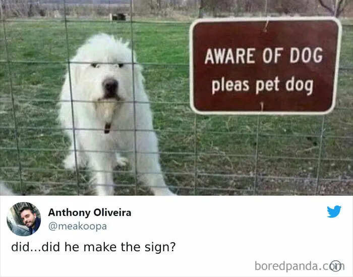 Friendly Guard On Duty