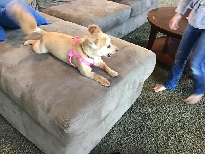 Our Baby Patty With Her Old Lady Anger Issues