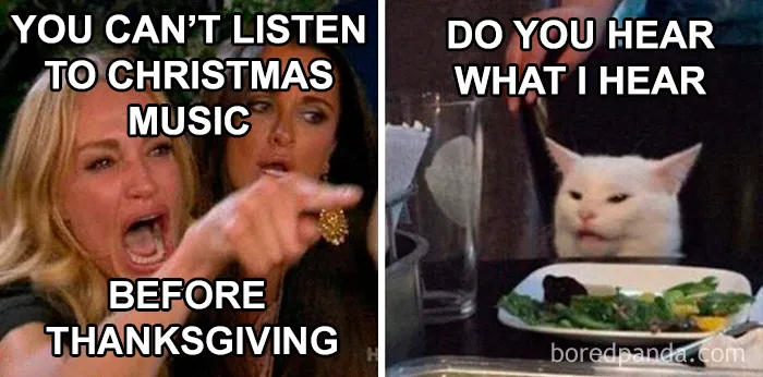 45 Painfully Relatable Memes To Laugh At While Social Distancing This Thanksgiving