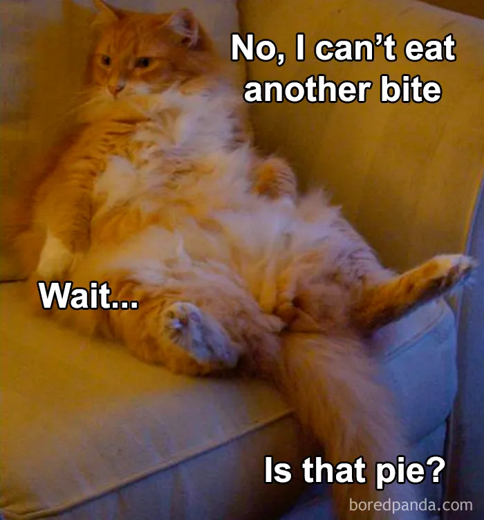 45 Painfully Relatable Memes To Laugh At While Social Distancing This Thanksgiving