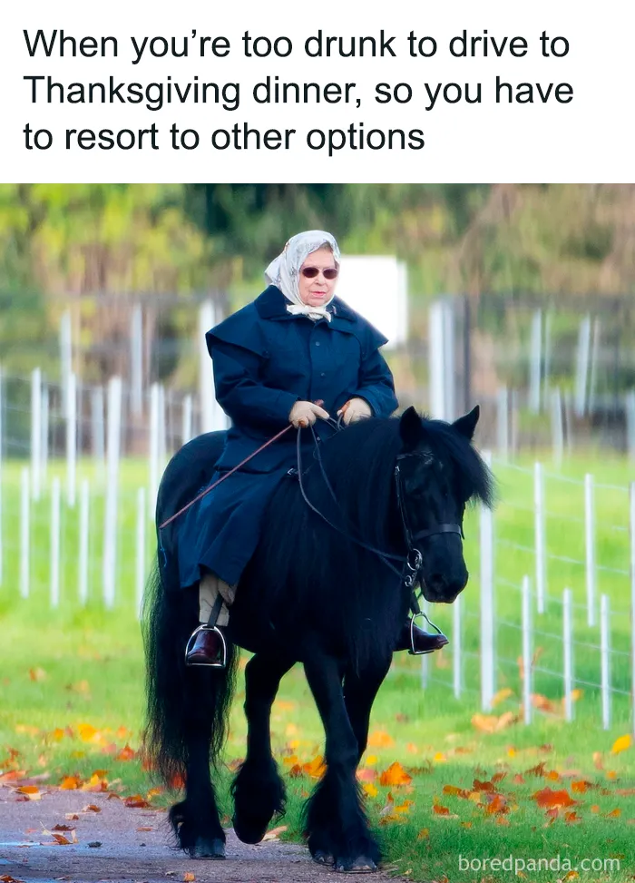Thanksgiving-Memes-Jokes
