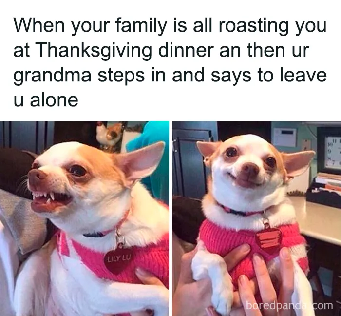 45 Painfully Relatable Memes To Laugh At While Social Distancing This Thanksgiving