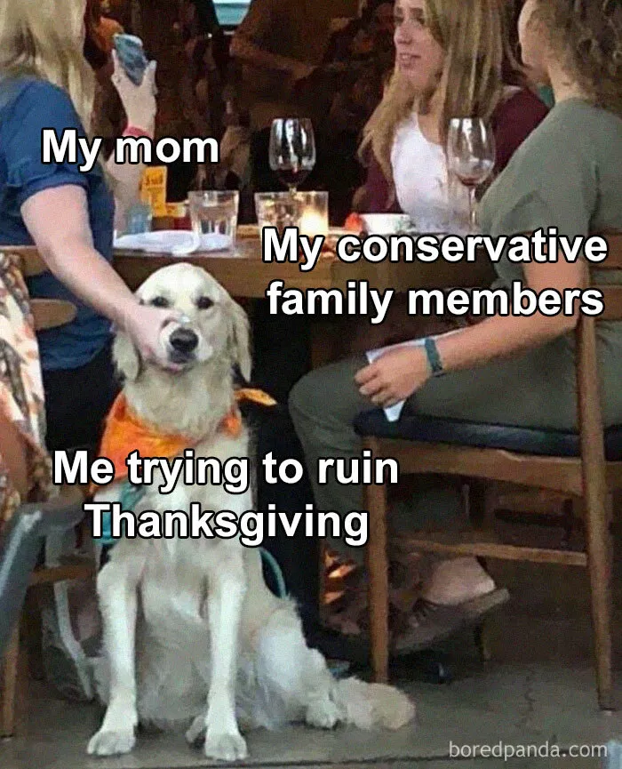 45 Painfully Relatable Memes To Laugh At While Social Distancing This Thanksgiving