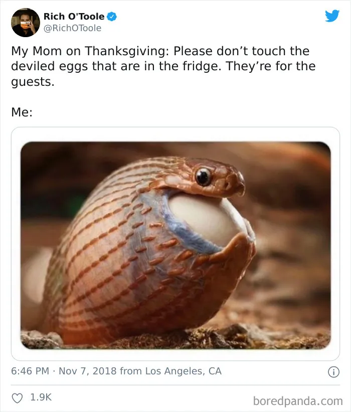 45 Painfully Relatable Memes To Laugh At While Social Distancing This Thanksgiving