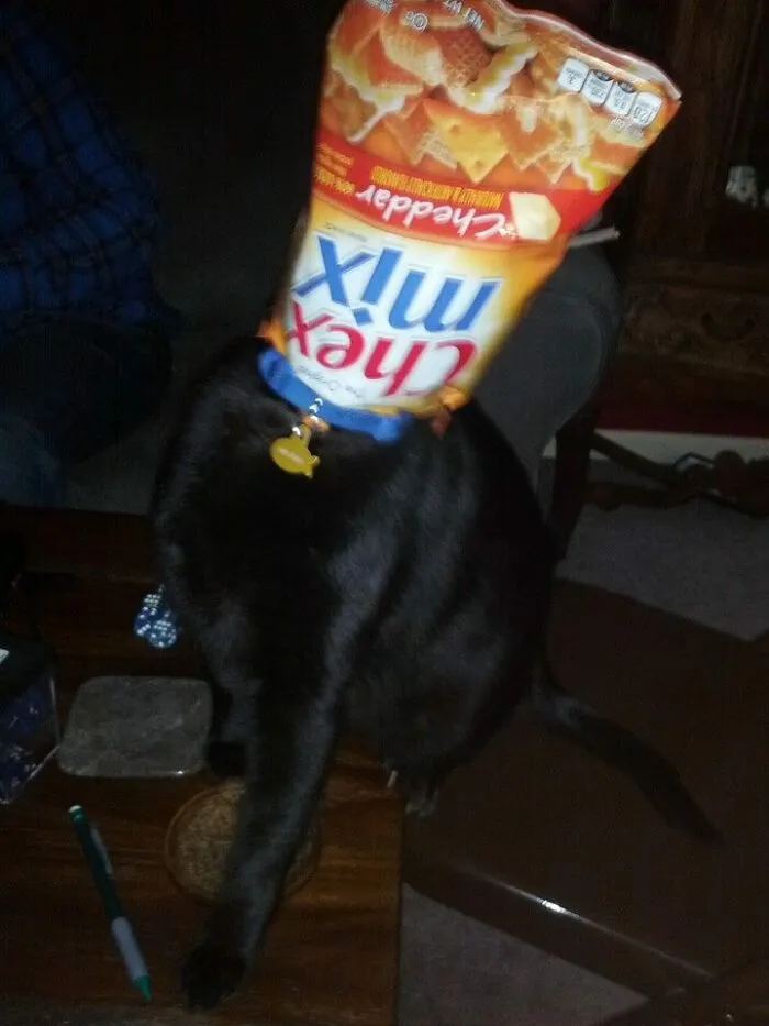 Mr Sulu Is A Smart  Boy.