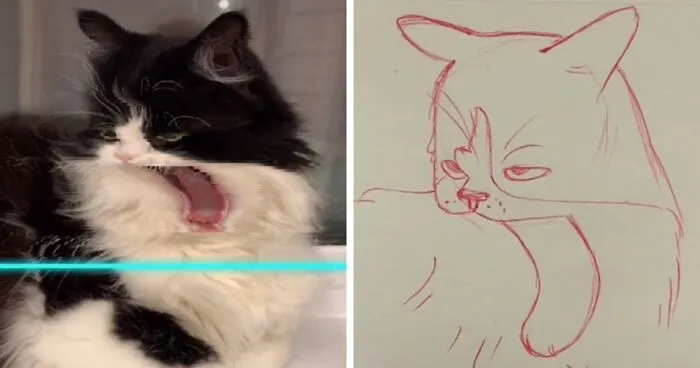 17 Funny Illustrations Of Cats And Dogs After They Were Captured With The Time Warp Scan Filter, Drawn By An Artist On TikTok